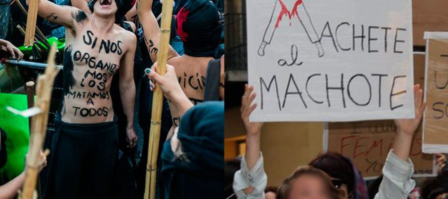 feministas extremas feminazis